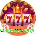 2022 world cup cricket Game King v1.7.8