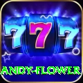 andy flower Plus Edition v5.2.1