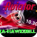 antigua hawksbill Games (Casino & Earning) Deluxe v1.4.6