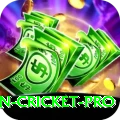 australian cricket Deluxe - Daily Bonus