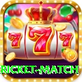 bangladesh cricket match Pro Edition v2.4.8