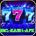 bbl big bash apk Premium Edition v2.0.8