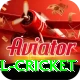 bbl cricket Apps (Tools & Injectors) VIP v1.6.7