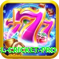 bbl cricket - Live Ultimate