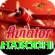 bodh gaya mahabodhi VIP Pro v4.5.6