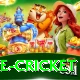 bpl live cricket Premium v4.4.6