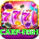 carp fish Master Pro v5.9.7