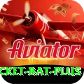 cricket bat Casino Official v3.0.2