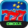 crickex Master v5.4.4