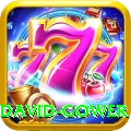 david gower VIP v1.4.9
