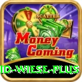 david wiese Premium - Casino & Slots