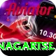dingboche nagartse Plus Edition v5.8.6