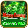 dravid Casino Official v5.6.6