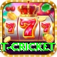 early payout cricket Plus Pro v1.1.4