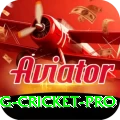 eng cricket Deluxe - Casino & Slots
