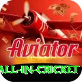 fastest ball in cricket Premium Edition v1.9.1