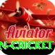 fastest ball in cricket Premium Edition v1.9.1