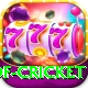 god of cricket Master Pro v2.8.2