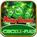god of cricket Casino Premium v5.0.1