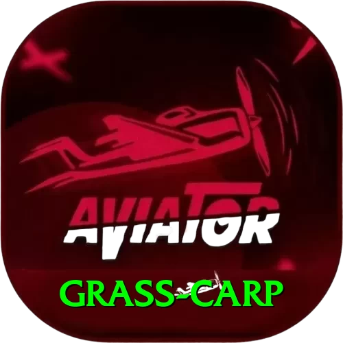 grass carp Plus Edition v2.0.8 - 2