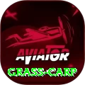grass carp Plus Edition v2.0.8