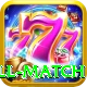 ind all match VIP v4.0.1