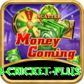 india bangladesh cricket Game Legend v2.7.1