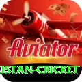 india pakistan cricket Premium v3.5.6