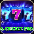 india sri lanka cricket Champion APK v3.2.0