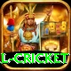 international cricket Games (Casino & Earning) Plus v5.3.6