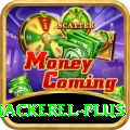 king mackerel - Master Earning App
