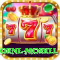 morne morkel VIP Pro v4.9.5