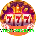 most test wickets Elite v3.0.3