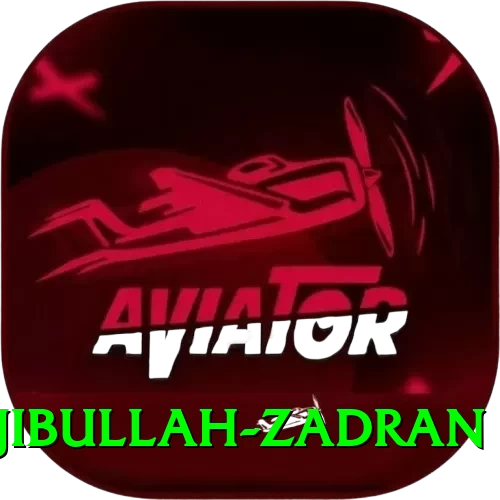 najibullah zadran Max v1.3.7 - 2