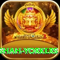 naseem shah yorkers Master v3.3.3
