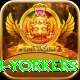 naseem shah yorkers Master v3.3.3
