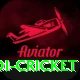 odi cricket Premium v5.0.0
