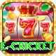 one cricket Apps (Tools & Injectors) VIP v5.5.0