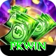 PKWin Elite v4.6.9