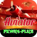 pkwin Plus Edition v2.3.9