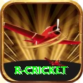 r cricket Deluxe Pro v4.0.4