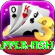 red snapper fish Pro Edition v5.9.8