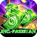 responsible gambling pakistan Apps (Tools & Injectors) Elite v4.2.8
