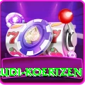 rudi koertzen Apps (Tools & Injectors) Premium v3.3.1