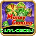 smartcric live cricket Pro Edition v2.9.5