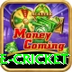 smartcric live cricket Pro Edition v2.9.5
