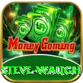 steve waugh Deluxe Pro v4.5.9