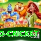 t20 cricket App