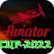t20 world cup 2022 Pro