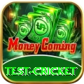 test cricket Pro Edition v1.1.8